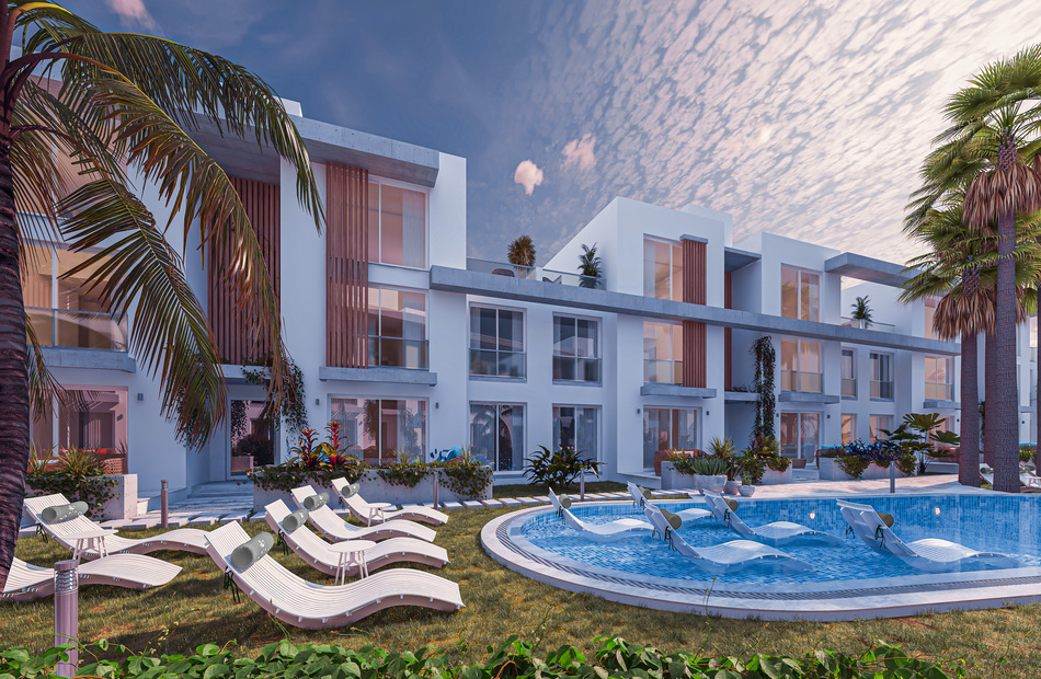 Olive Court 2 