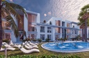 Olive Court 2 