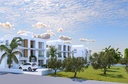 Olive Court 2 