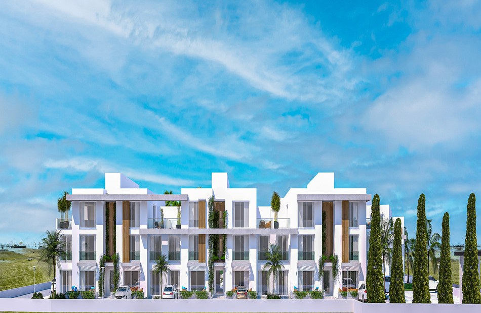 Olive Court 2 