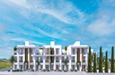 Olive Court 2 