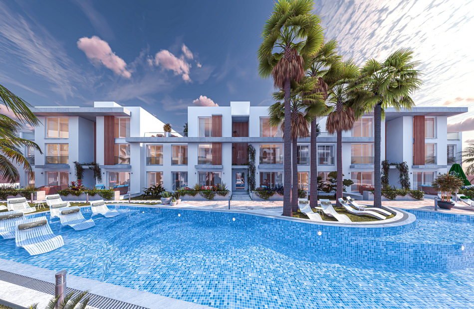 Olive Court 2 