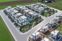 Olive Court 
