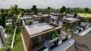 Green 2